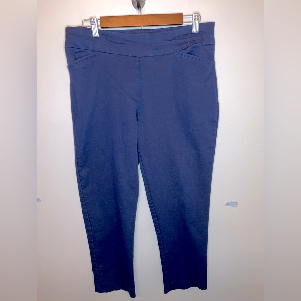 Croft & Barrow The Effortless Navy Stretch Pants Size 14P Regular EUC